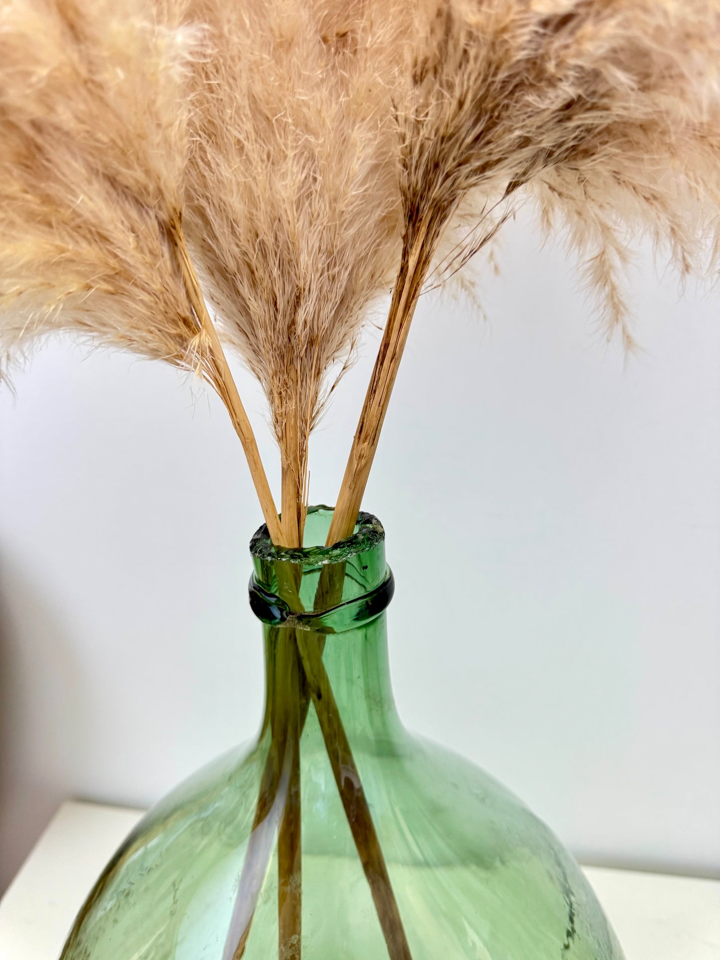 Dame-jeanne 10L verte