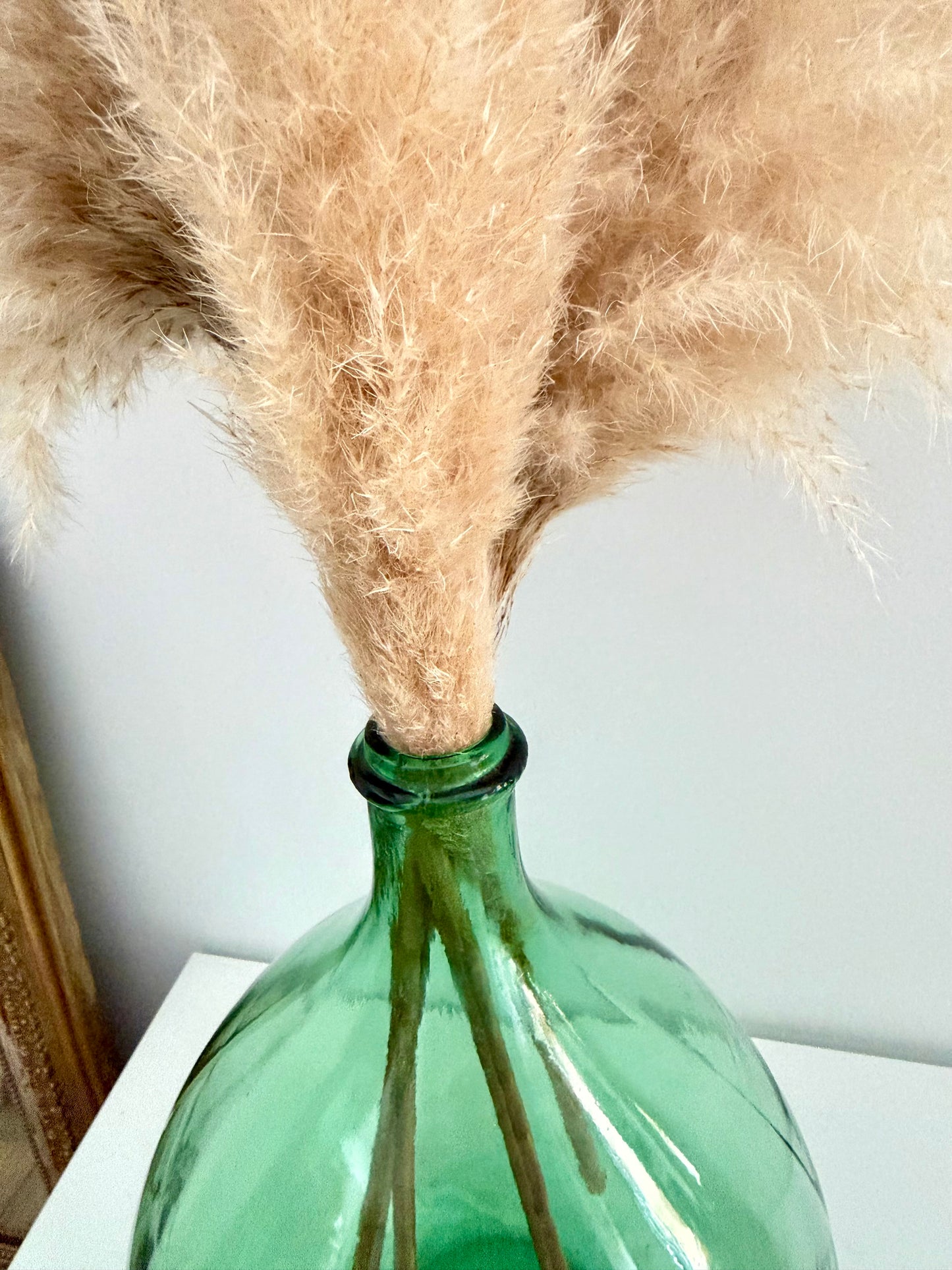 Dame-jeanne 10L verte