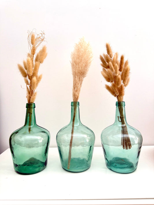 Trio de dames-jeannes 2L